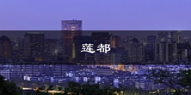 丽水莲都天气预报未来一周