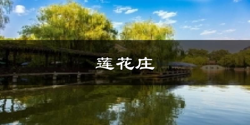 莲花庄气温