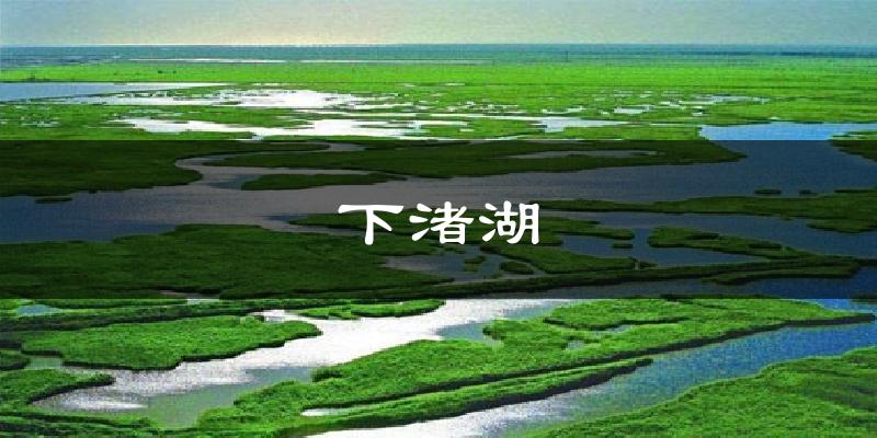 下渚湖今日天气