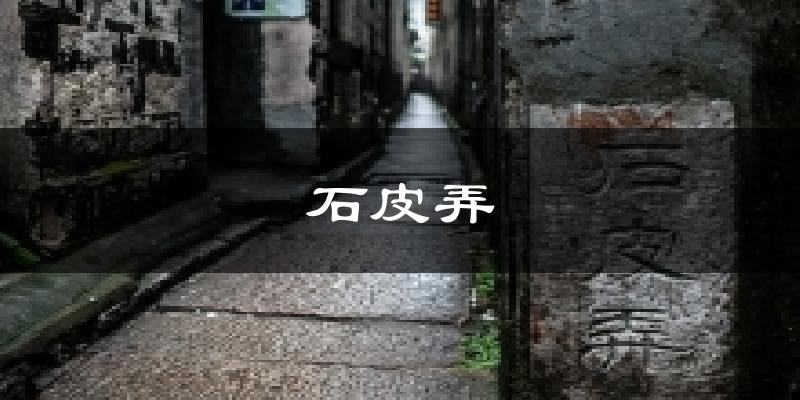 石皮弄气温