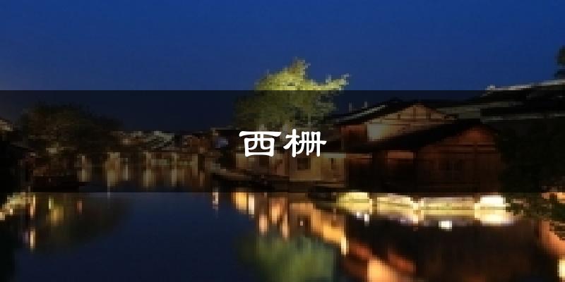 西栅气温