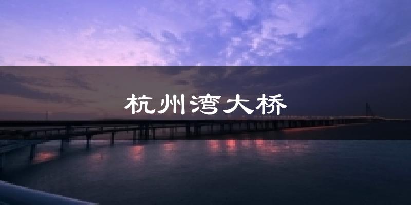 杭州湾大桥气温