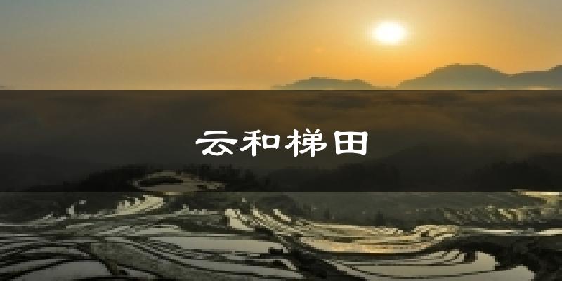 云和梯田气温