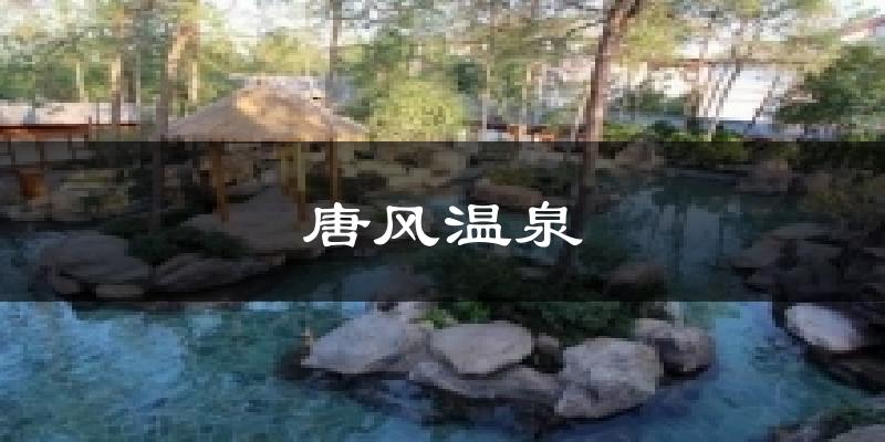 唐风温泉气温