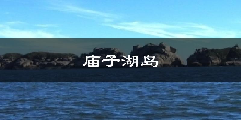 庙子湖岛气温