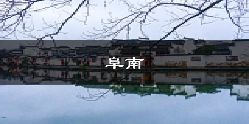 阜南天气预报未来一周