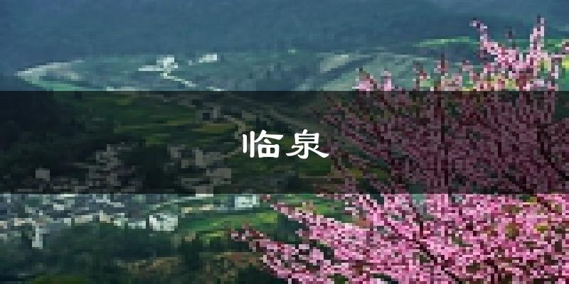 临泉天气预报未来一周