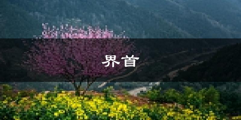 界首天气预报未来一周