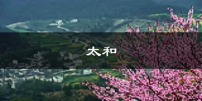 太和天气预报未来一周