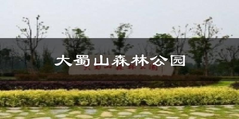 大蜀山森林公园气温