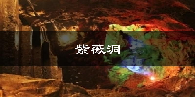 紫薇洞气温
