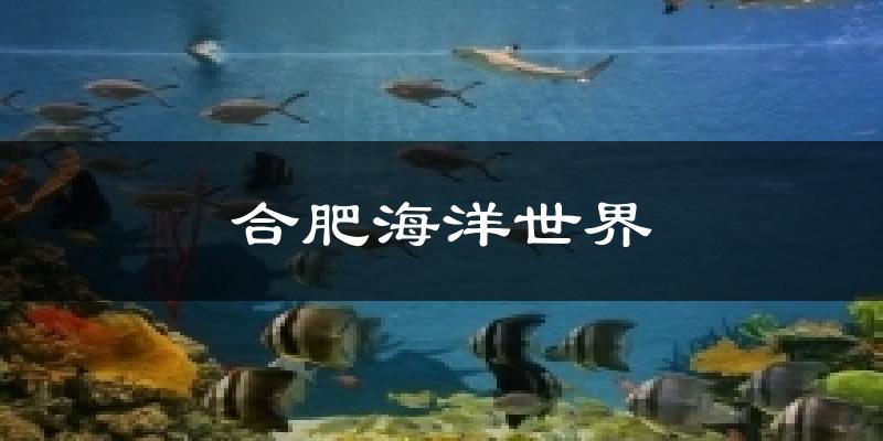 合肥海洋世界气温