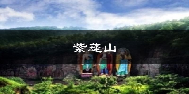 紫蓬山气温