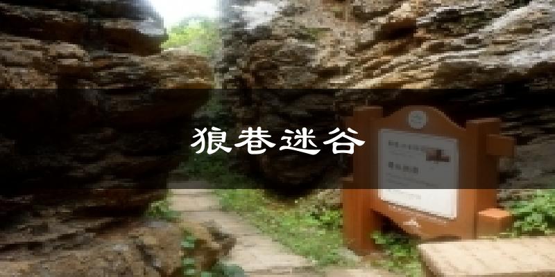 狼巷迷谷气温