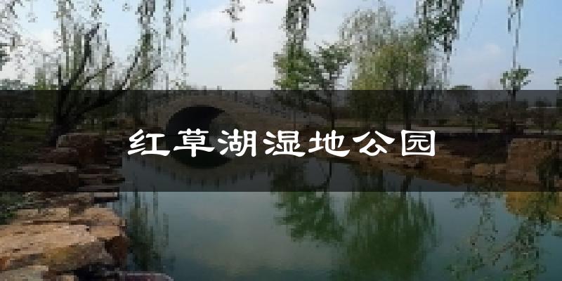 红草湖湿地公园气温