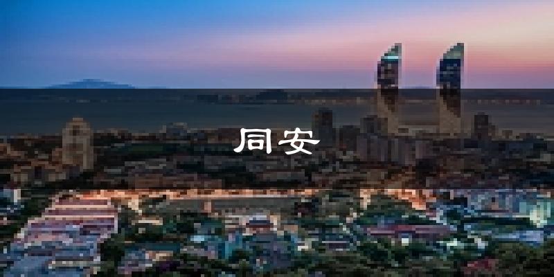 厦门同安天气预报未来一周