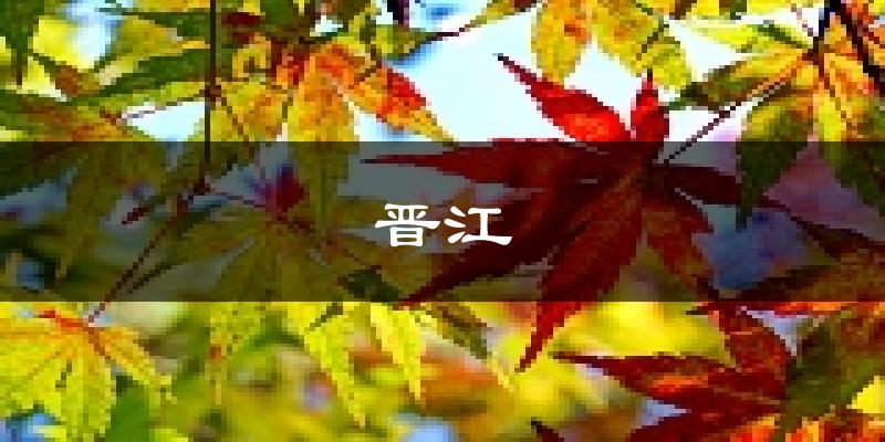 晋江天气预报未来一周