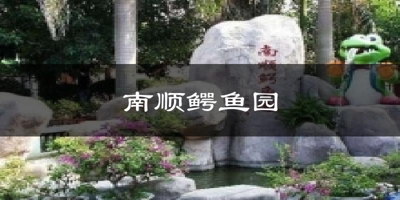 南顺鳄鱼园今日天气