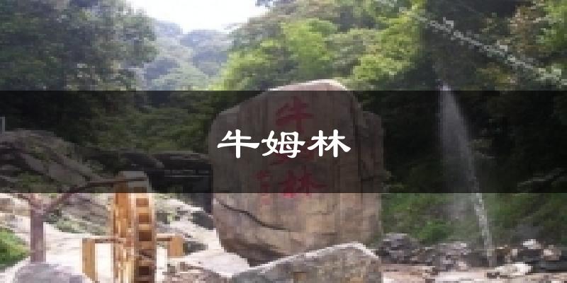 牛姆林气温