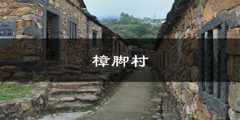 樟脚村今日天气