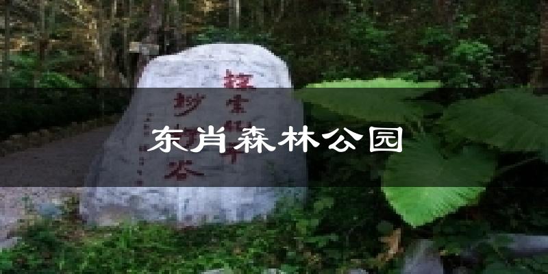 东肖森林公园气温