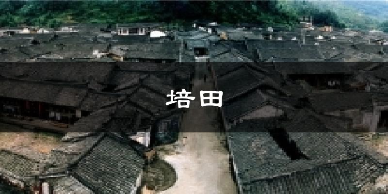培田气温