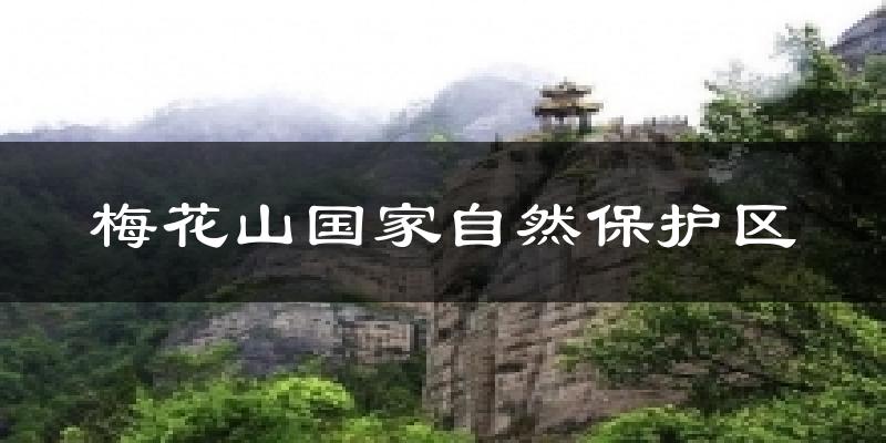 梅花山国家自然保护区气温