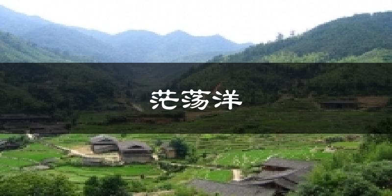 茫荡洋气温