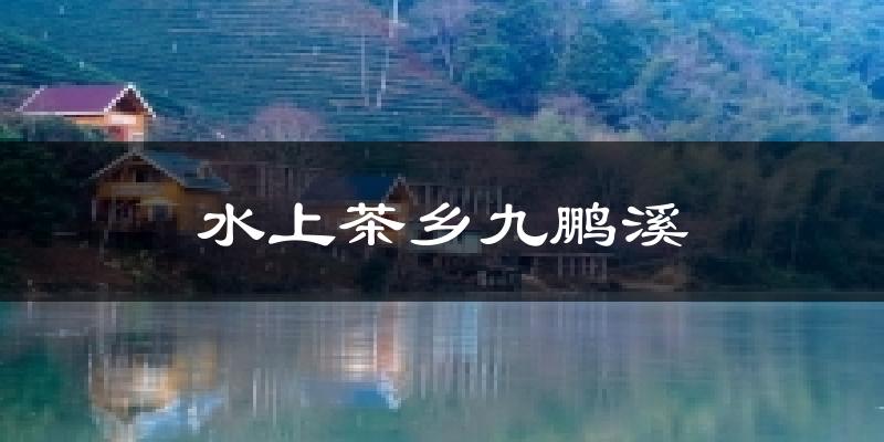 水上茶乡九鹏溪气温