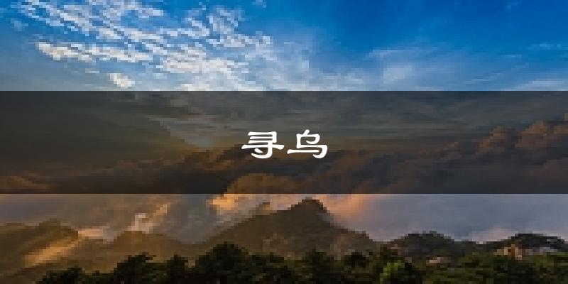 寻乌天气预报未来一周