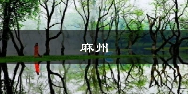 麻州气温