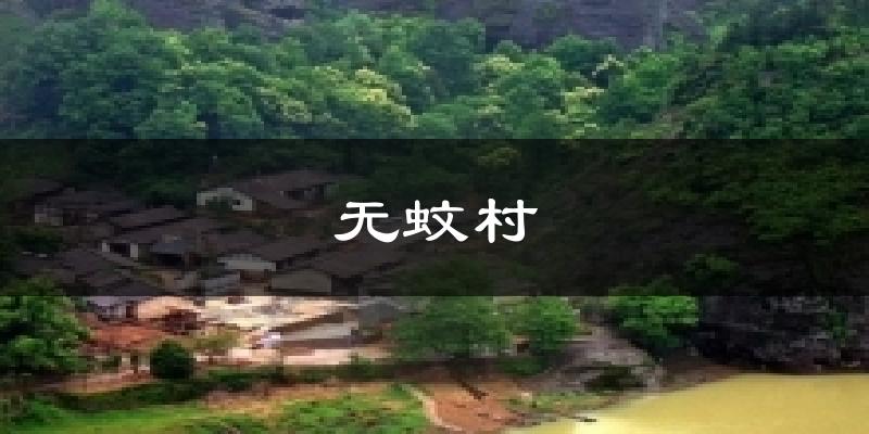 无蚊村气温