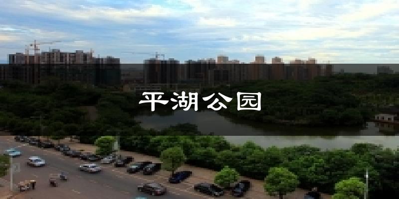 平湖公园气温