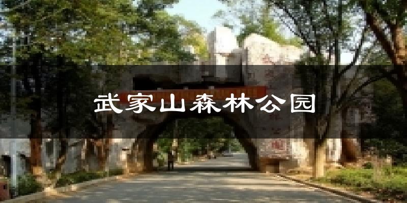 武家山森林公园气温