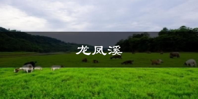 龙凤溪天气预报十五天