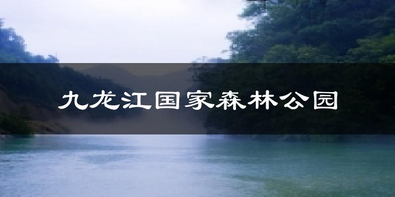 九龙江国家森林公园今日天气