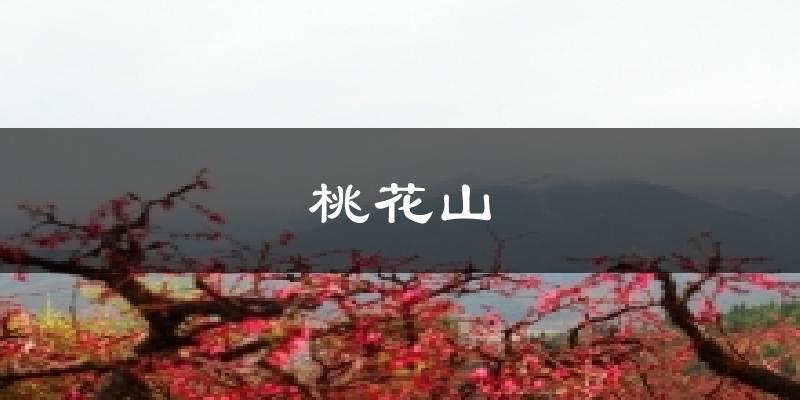 桃花山气温