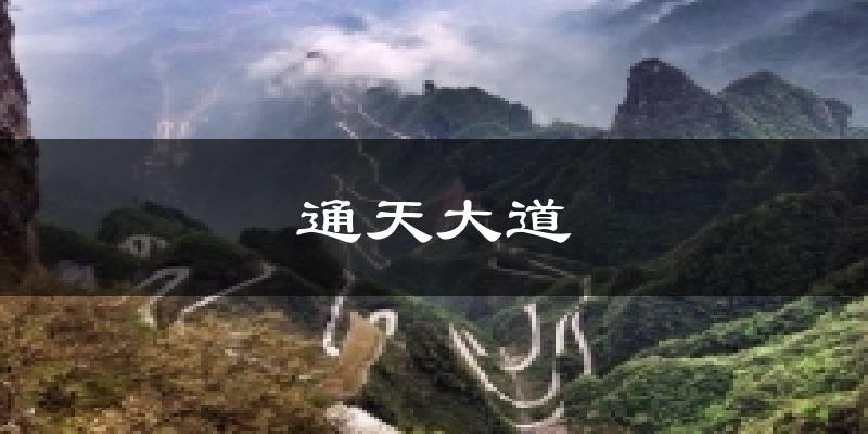 通天大道气温