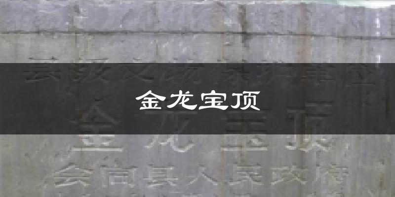 金龙宝顶今日天气
