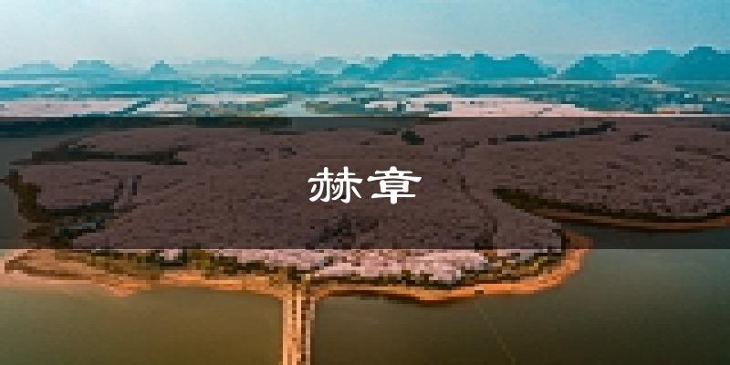 赫章天气预报未来一周