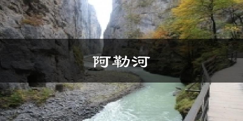 阿勒河天气预报十五天