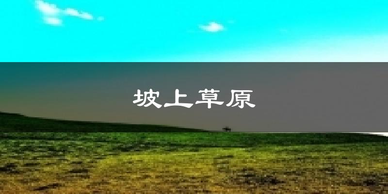 坡上草原今日天气