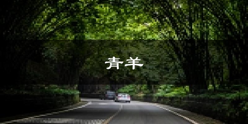 成都青羊天气预报未来一周