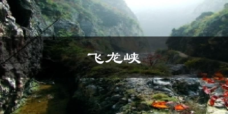 飞龙峡今日天气