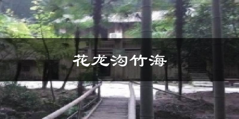 花龙沟竹海今日天气