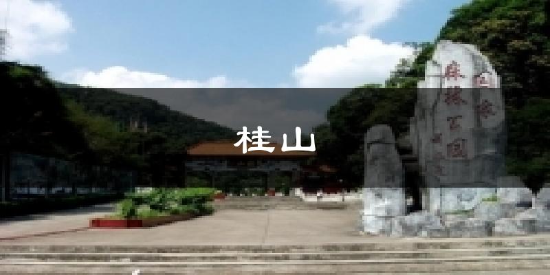 桂山气温