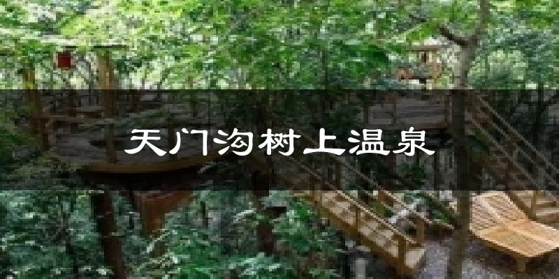 天门沟树上温泉今日天气