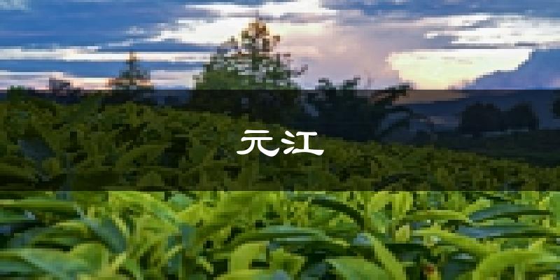 元江天气预报未来一周