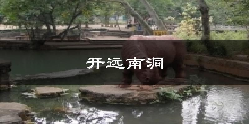 开远南洞气温