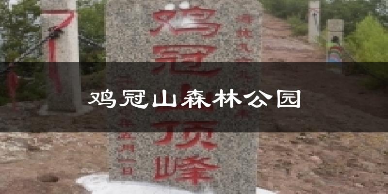 鸡冠山森林公园气温